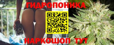 прущие грибы Будённовск