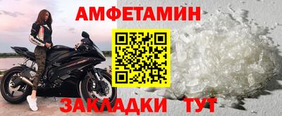 прущие грибы Будённовск